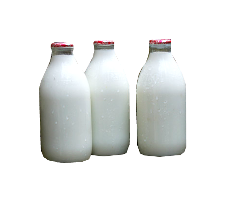 Оборудование для переработки молока