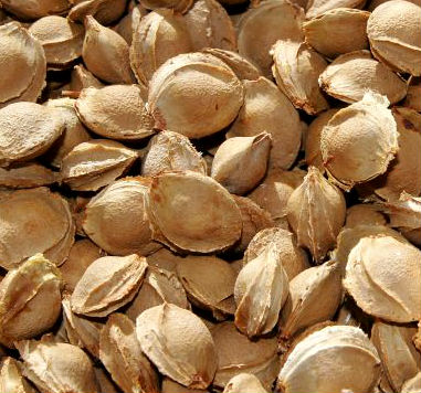 Zariadenie na výrobu kroviny