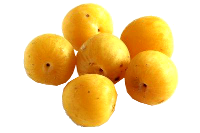 Zelenina Parný čistič a okopanín