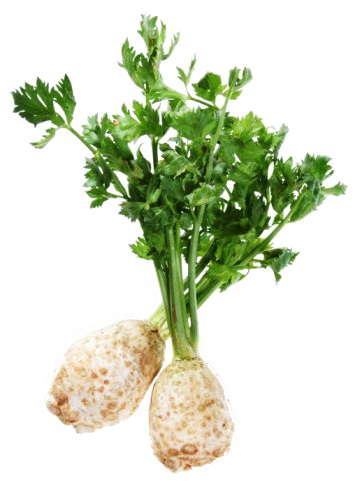 Zelenina Parný čistič a okopanín